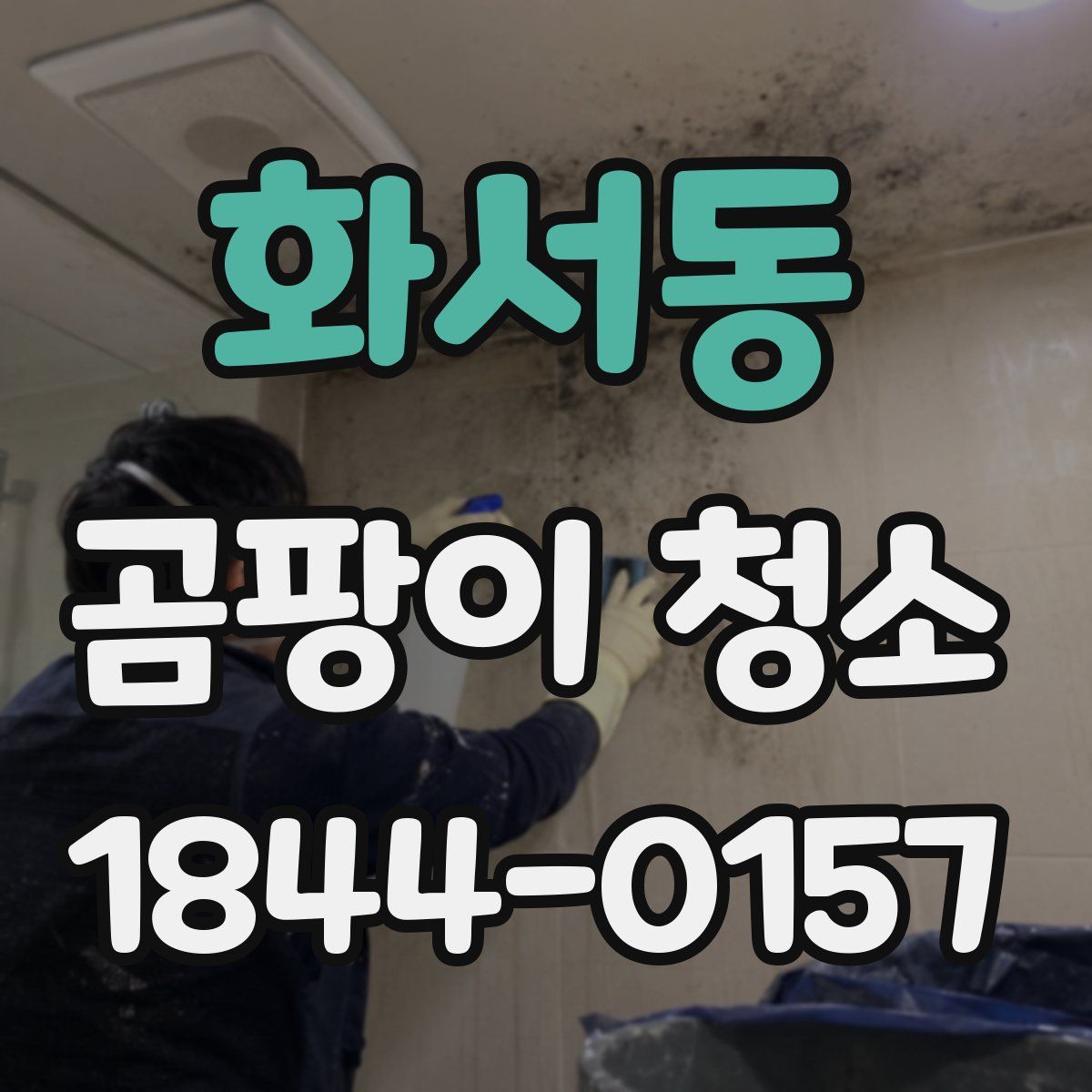 화서동 곰팡이 청소