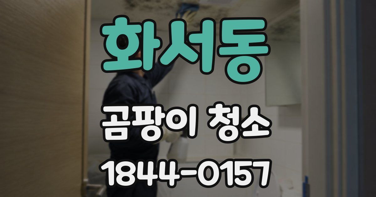 화서동 곰팡이 청소