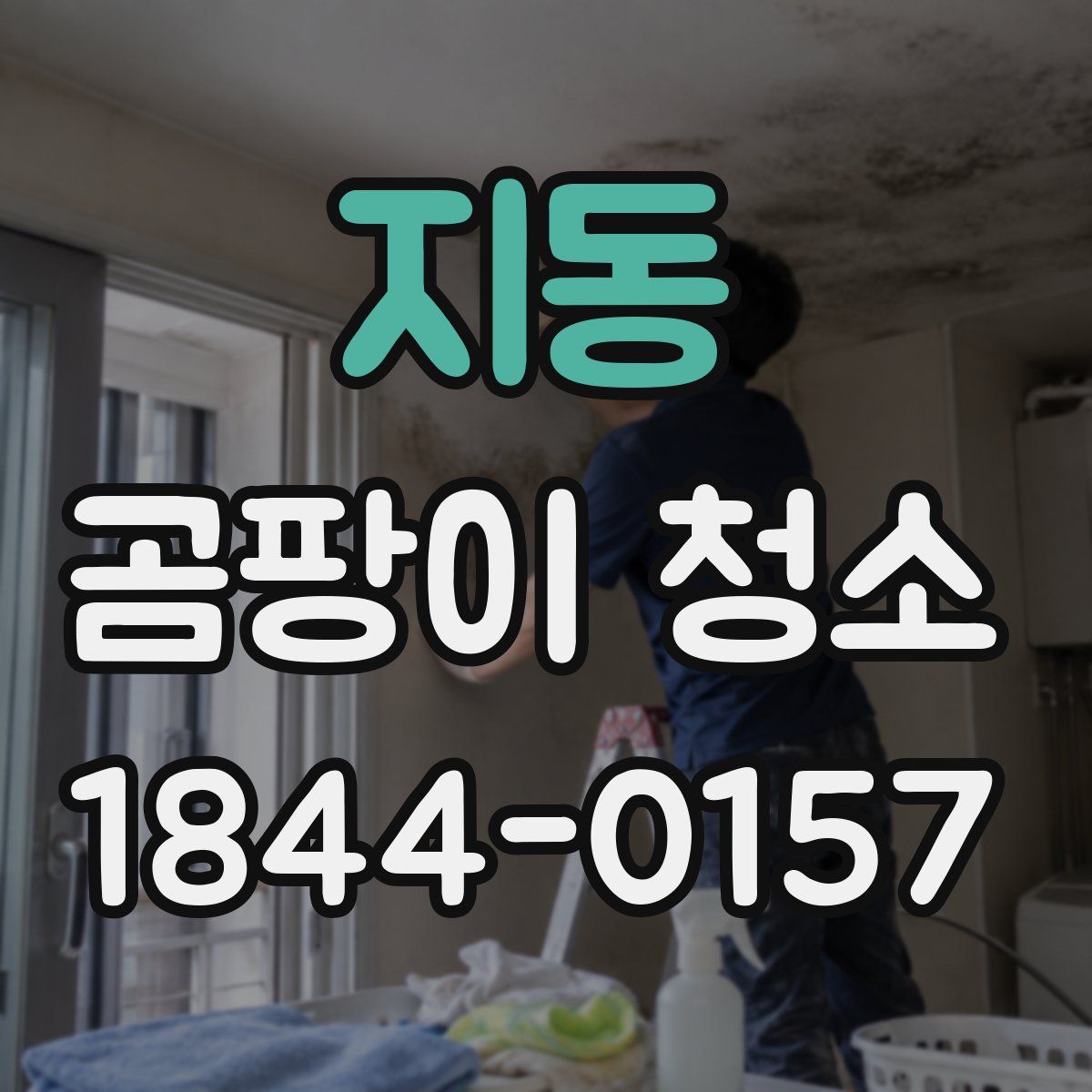 지동 곰팡이 청소