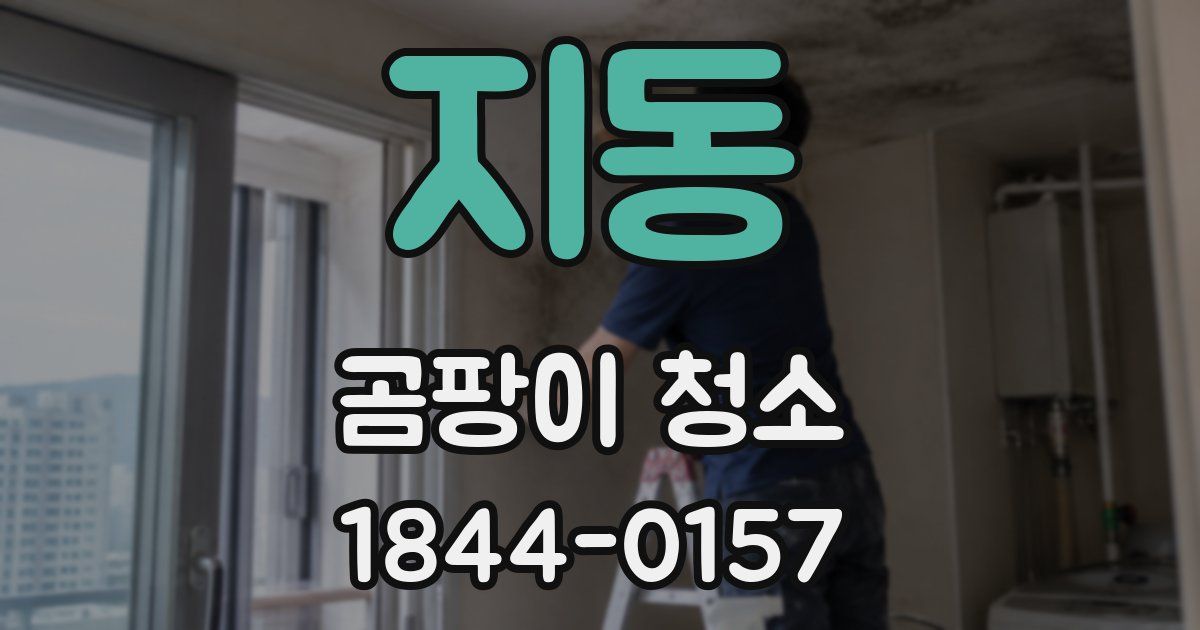 지동 곰팡이 청소