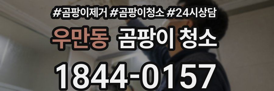 우만동 곰팡이 청소