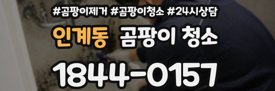 인계동 곰팡이 청소