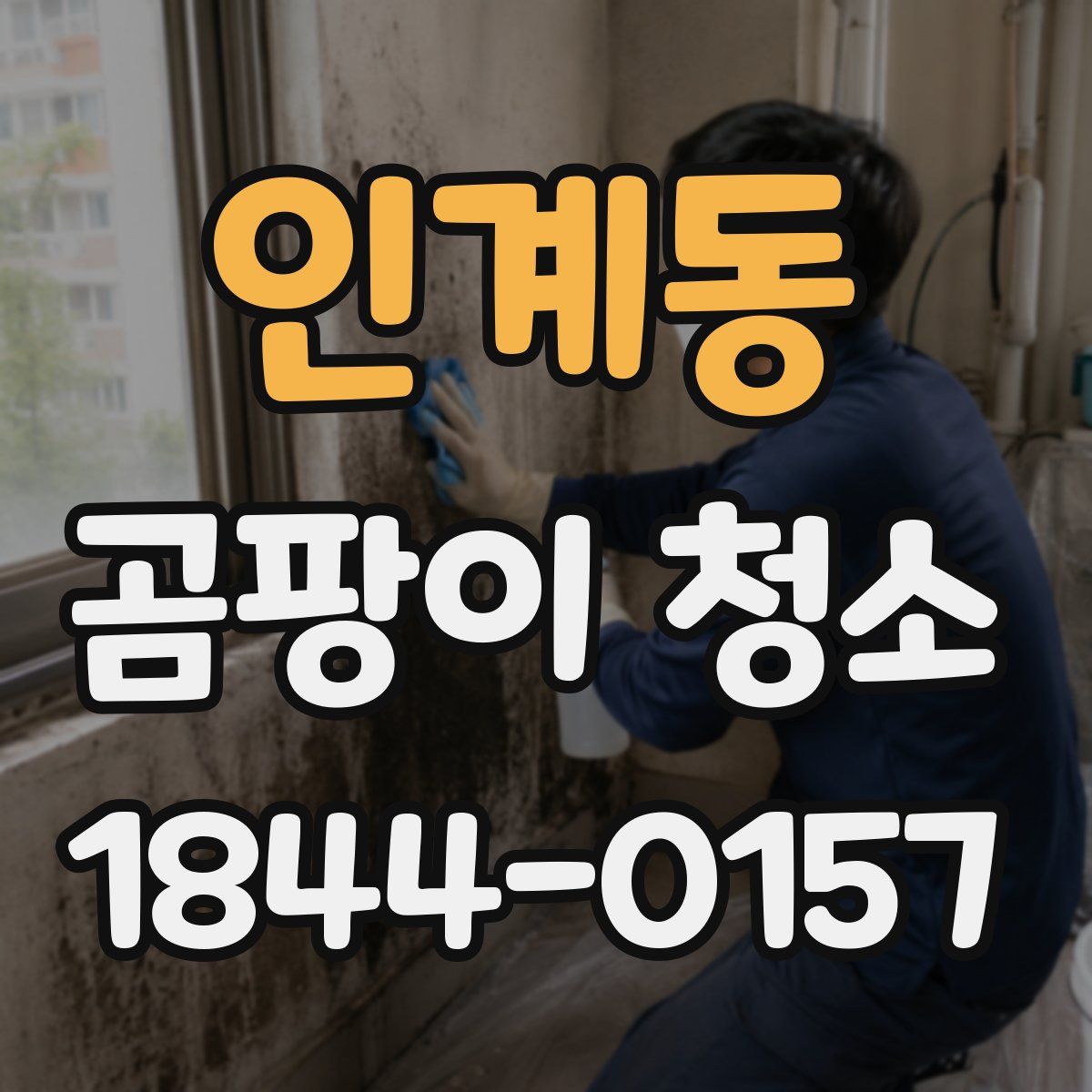 인계동 곰팡이 청소