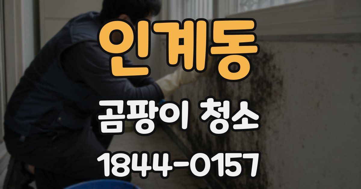 인계동 곰팡이 청소