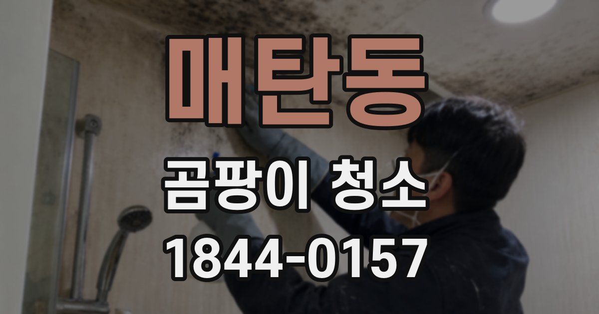 매탄동 곰팡이 청소