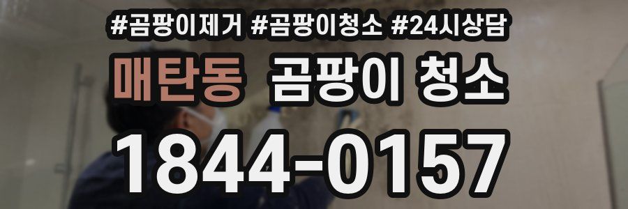 매탄동 곰팡이 청소