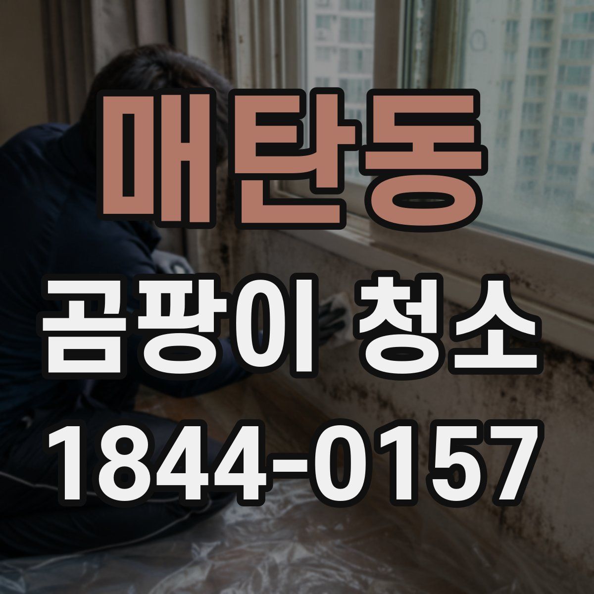 매탄동 곰팡이 청소