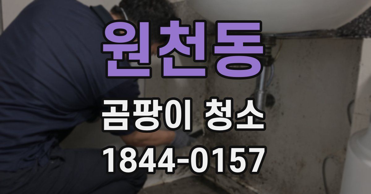 원천동 곰팡이 청소