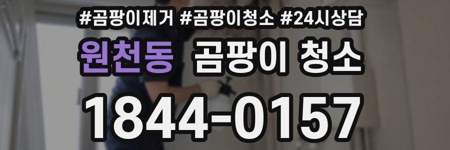 원천동 곰팡이 청소