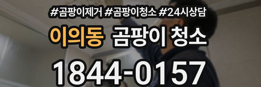 이의동 곰팡이 청소