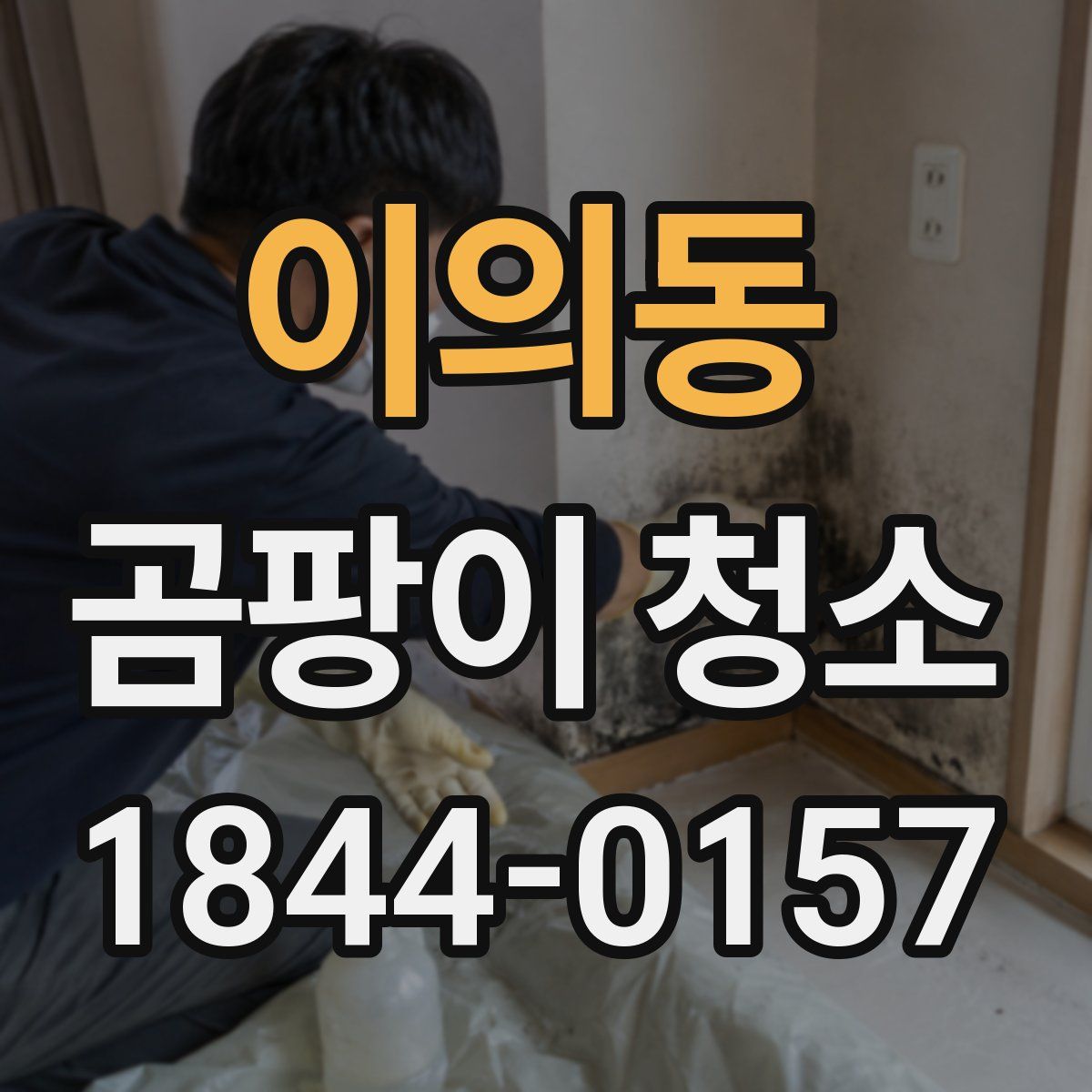 이의동 곰팡이 청소