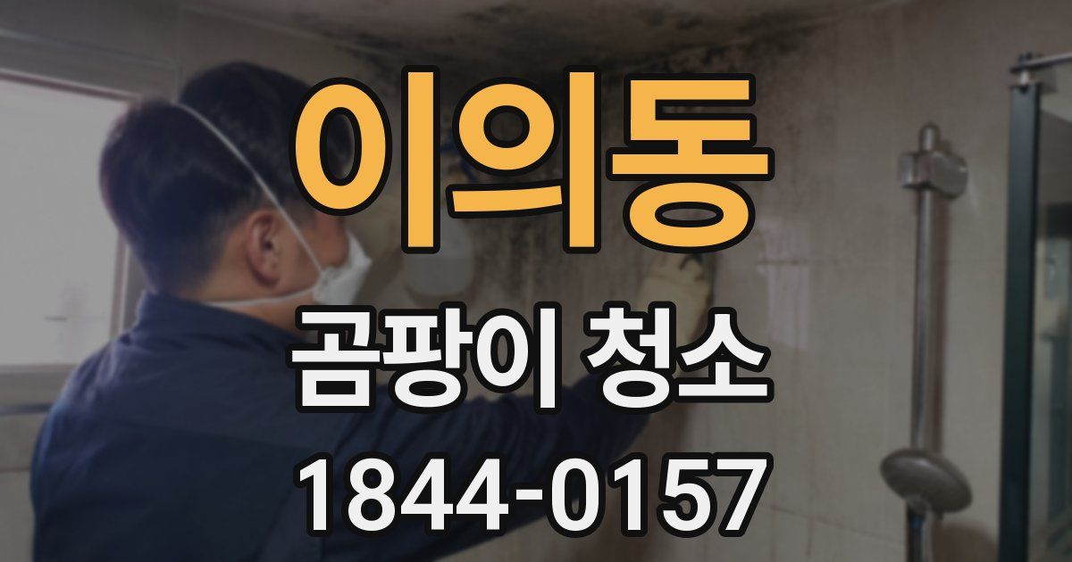 이의동 곰팡이 청소