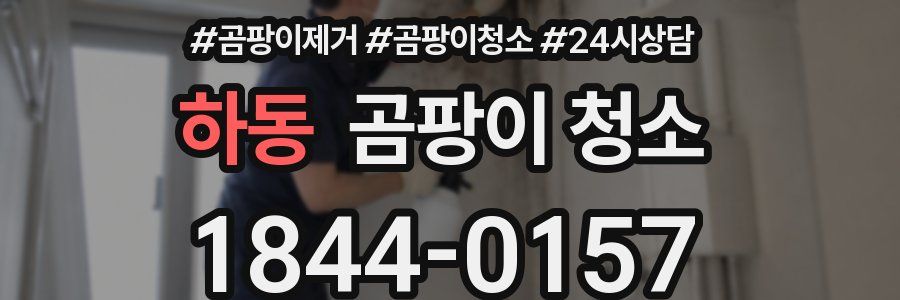 하동 곰팡이 청소