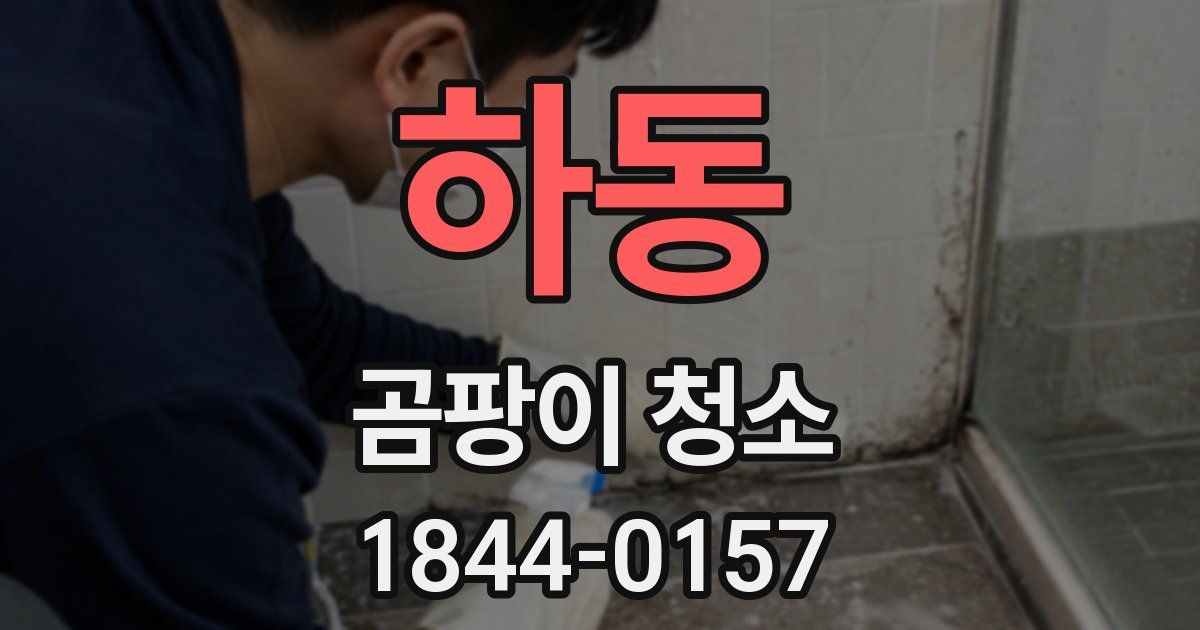 하동 곰팡이 청소