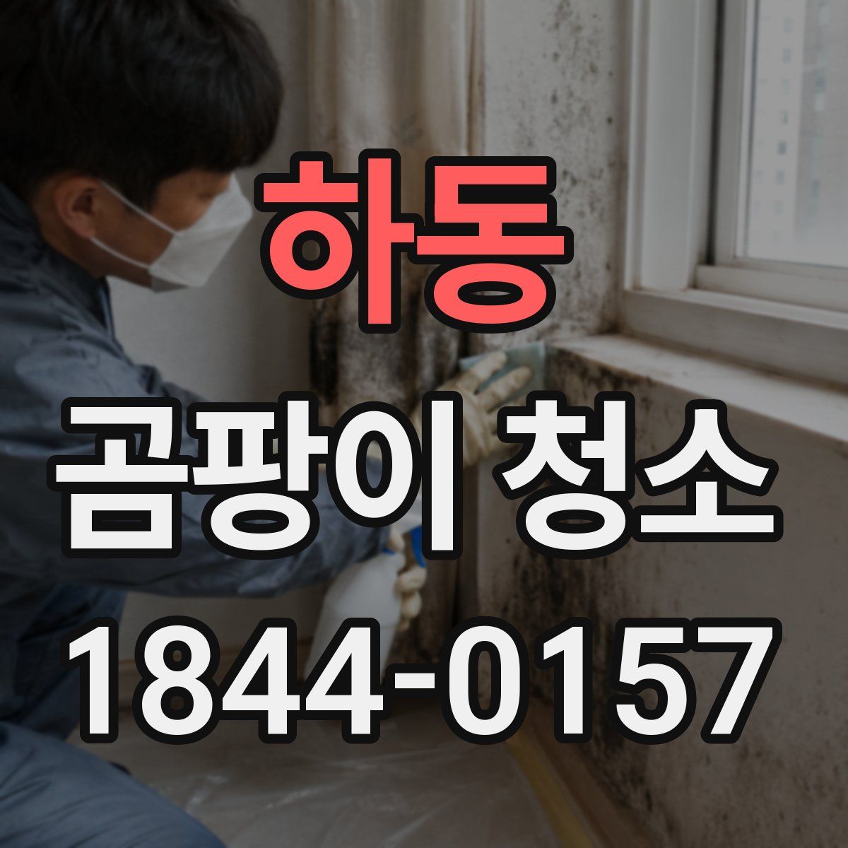 하동 곰팡이 청소