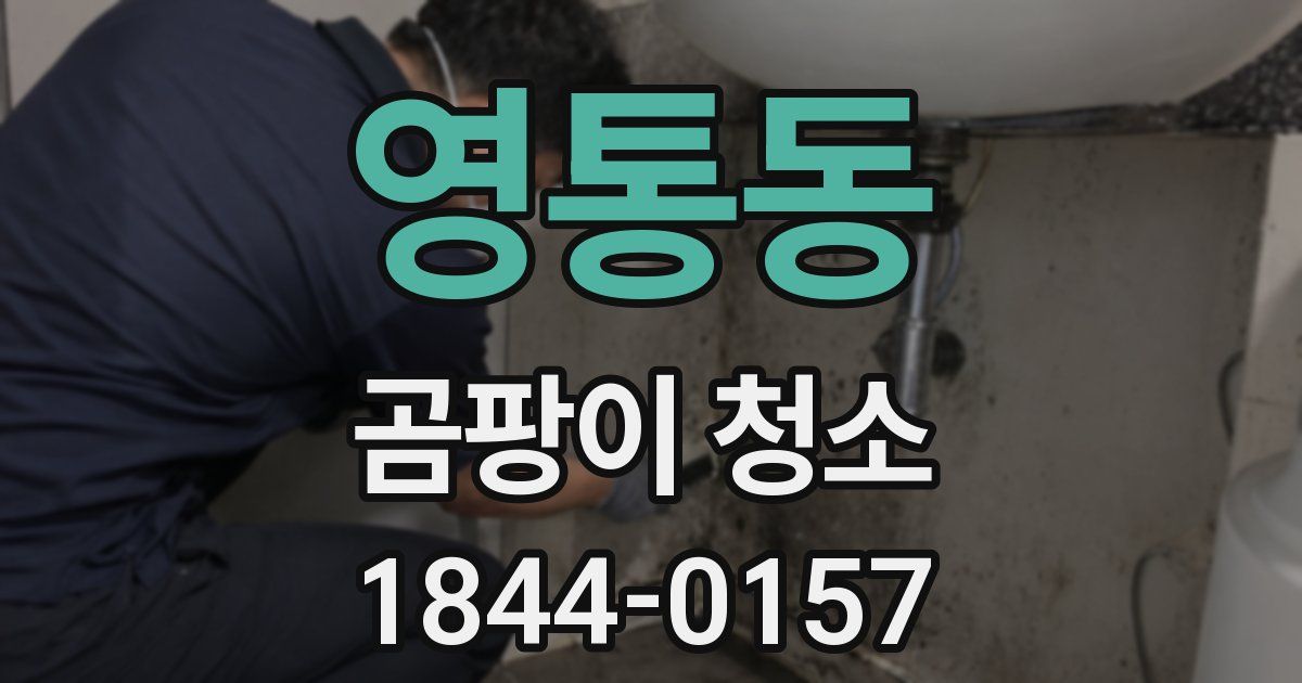영통동 곰팡이 청소