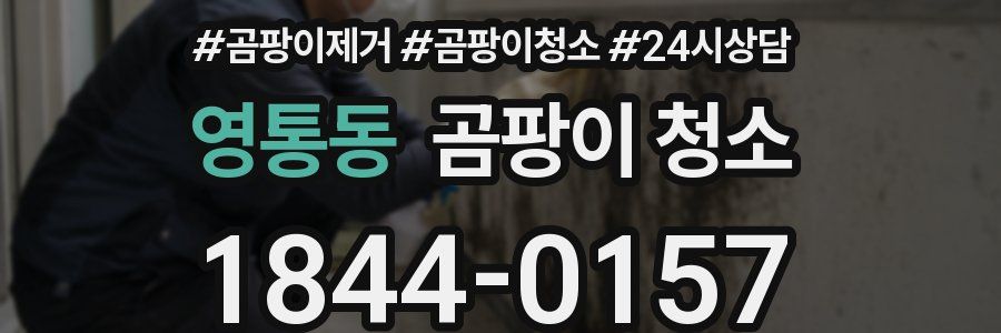 영통동 곰팡이 청소