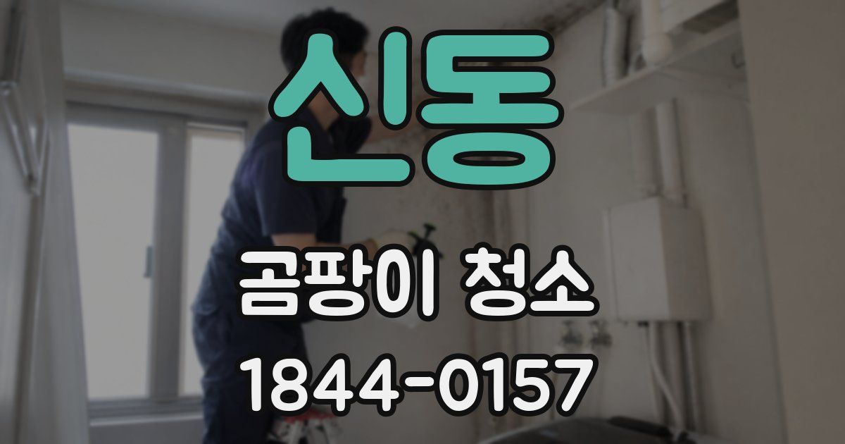 신동 곰팡이 청소