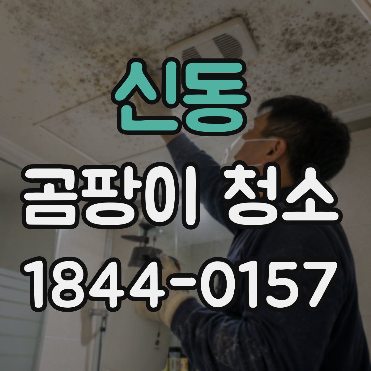 신동 곰팡이 청소