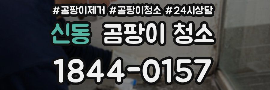 신동 곰팡이 청소
