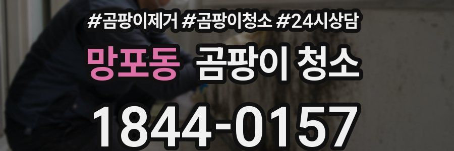 망포동 곰팡이 청소