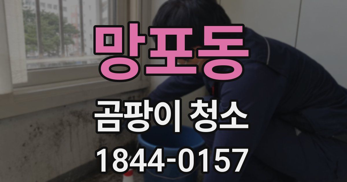 망포동 곰팡이 청소