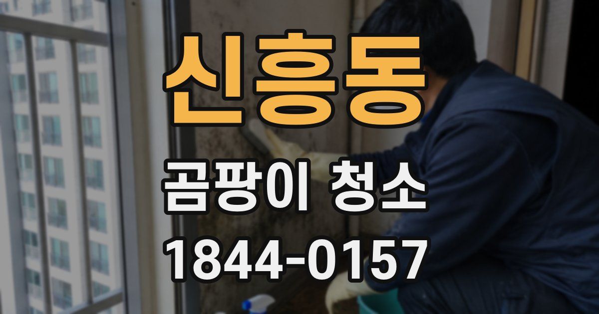 신흥동 곰팡이 청소