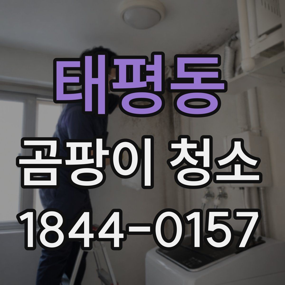 태평동 곰팡이 청소 방마다 다른 위생 회복 순서