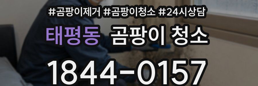 태평동 곰팡이 청소