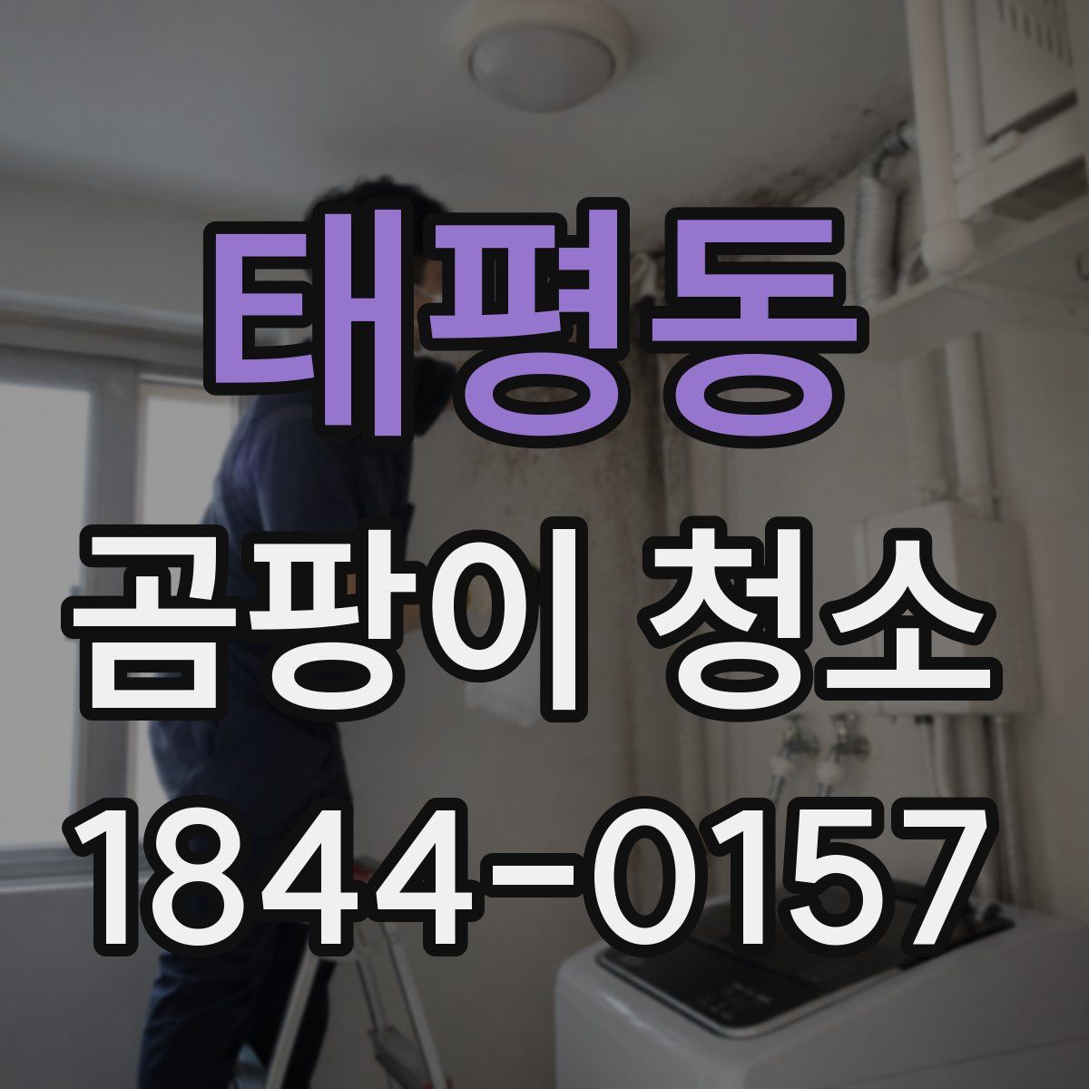 태평동 곰팡이 청소