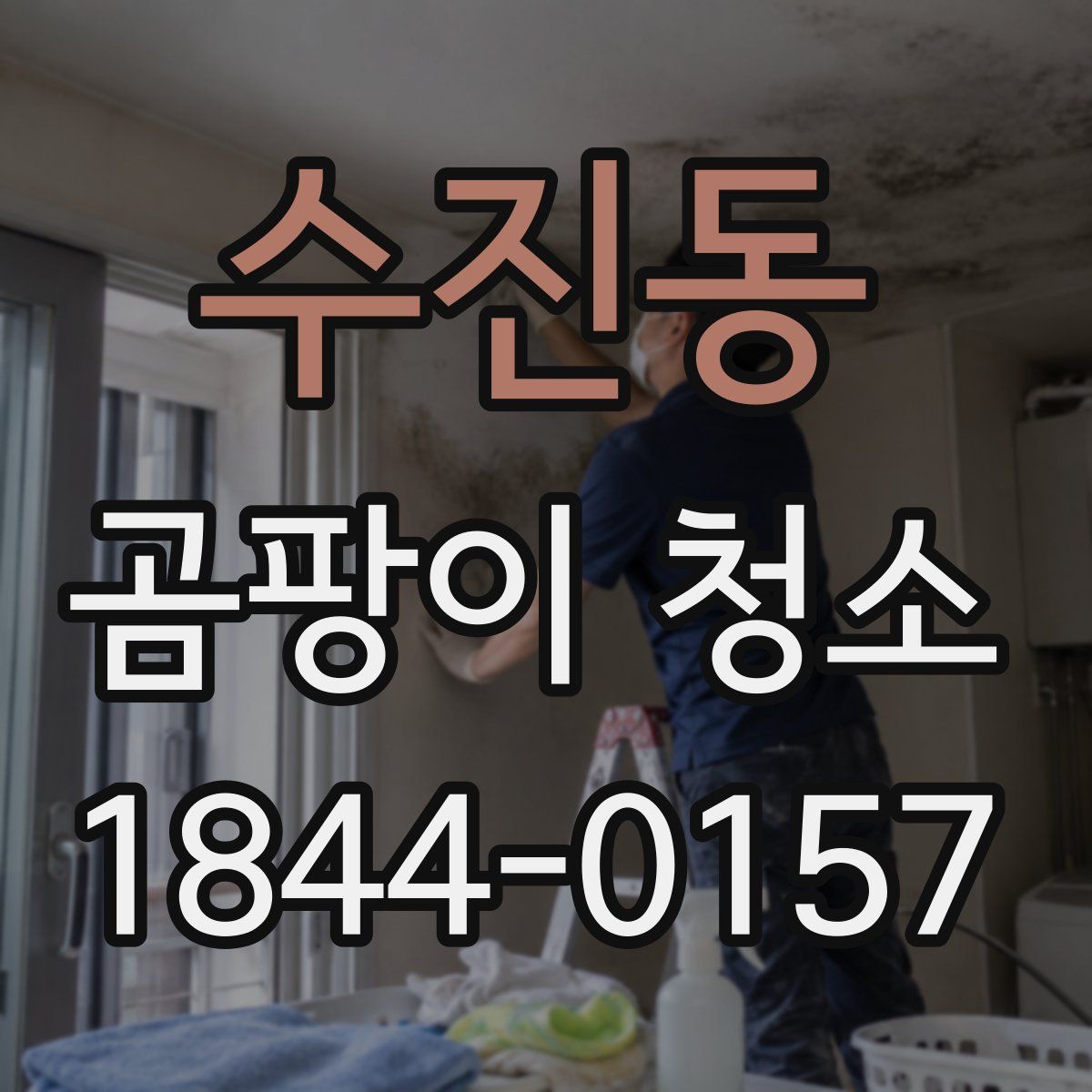 수진동 곰팡이 청소