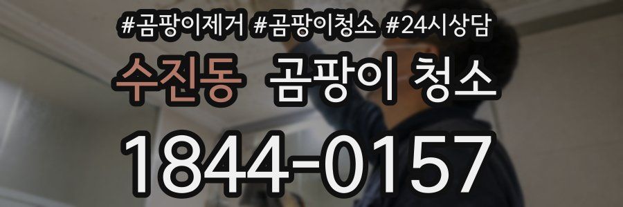 수진동 곰팡이 청소