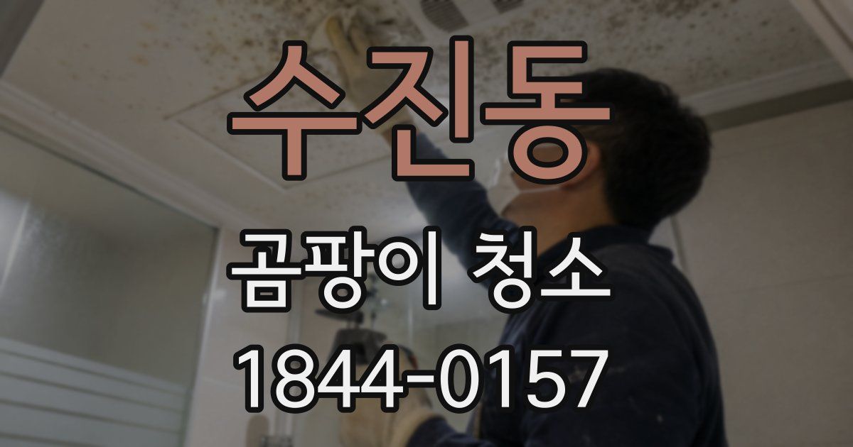 수진동 곰팡이 청소