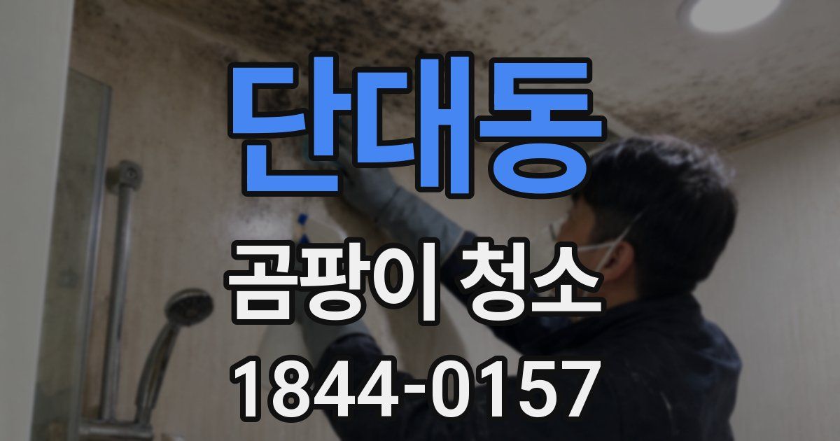 단대동 곰팡이 청소