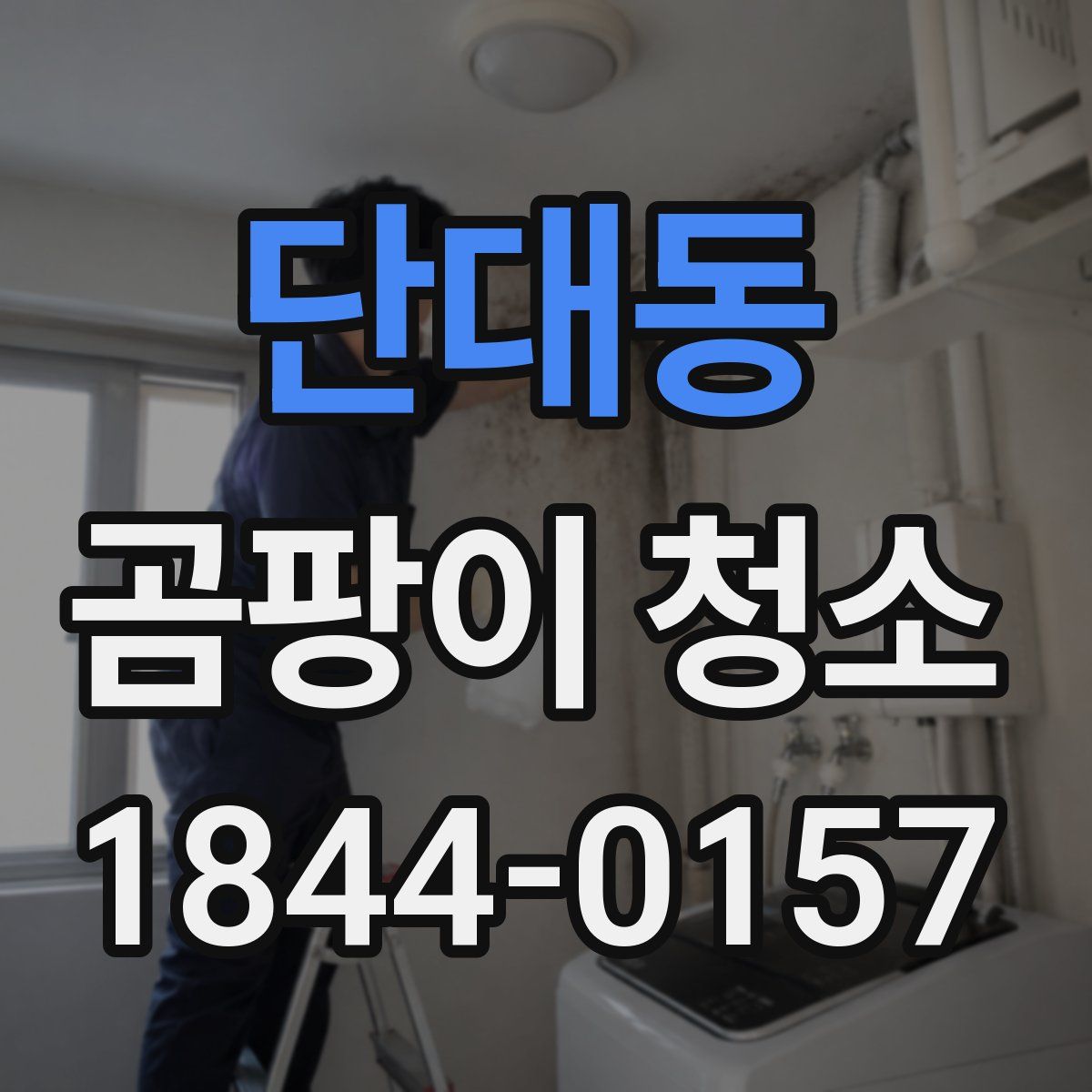 단대동 곰팡이 청소