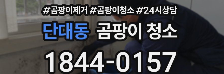 단대동 곰팡이 청소