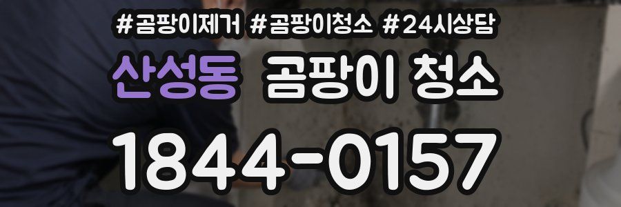 산성동 곰팡이 청소