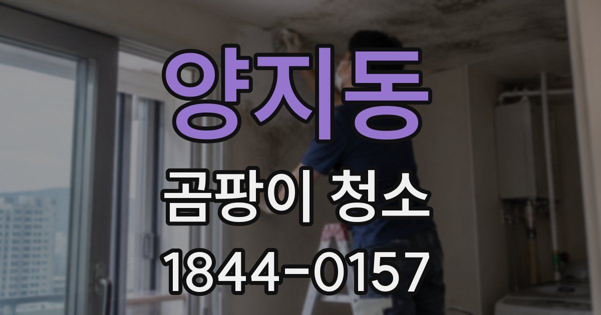 양지동 곰팡이 청소