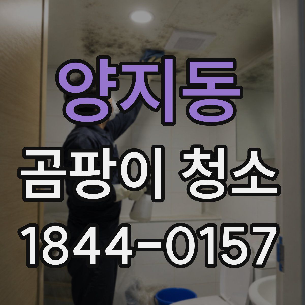 양지동 곰팡이 청소
