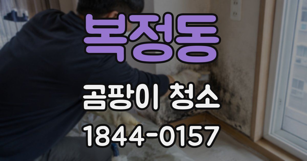 복정동 곰팡이 청소