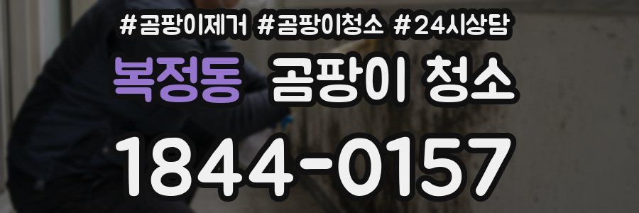 복정동 곰팡이 청소