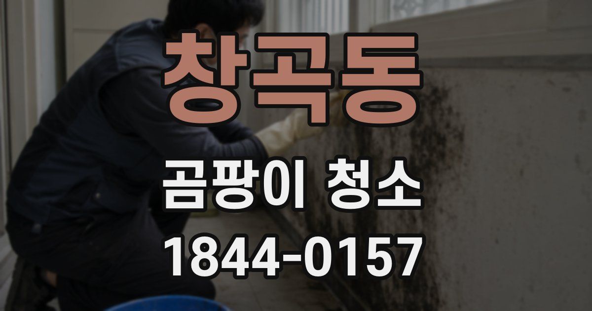 창곡동 곰팡이 청소