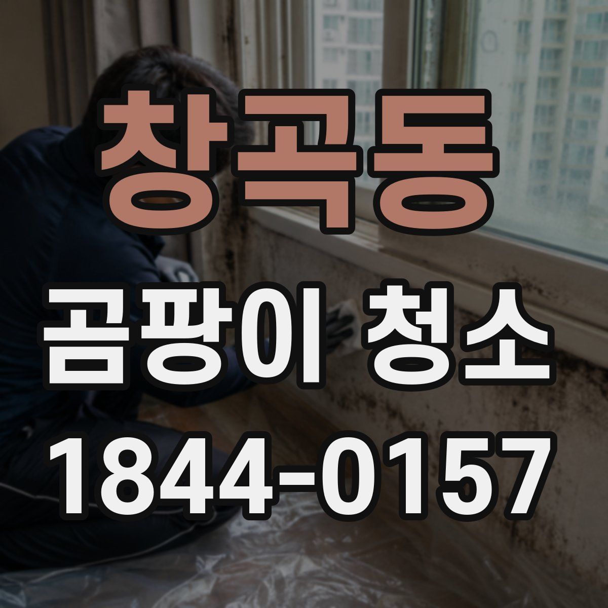 창곡동 곰팡이 청소