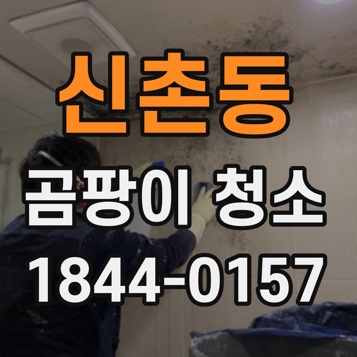 신촌동 곰팡이 청소 주거 공간별로 달라지는 접근법과 범위