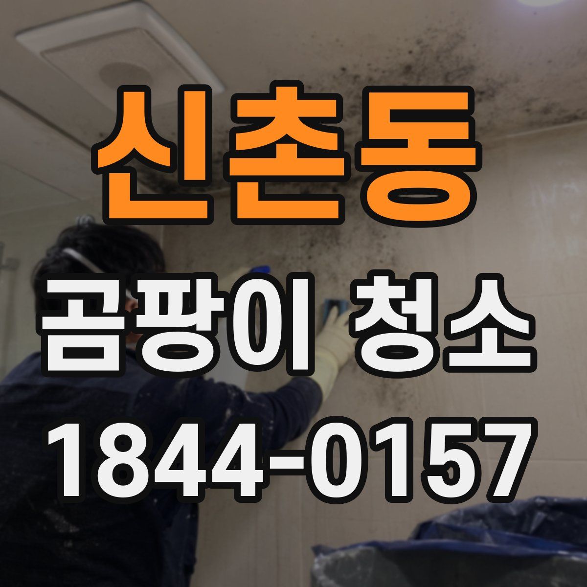 신촌동 곰팡이 청소