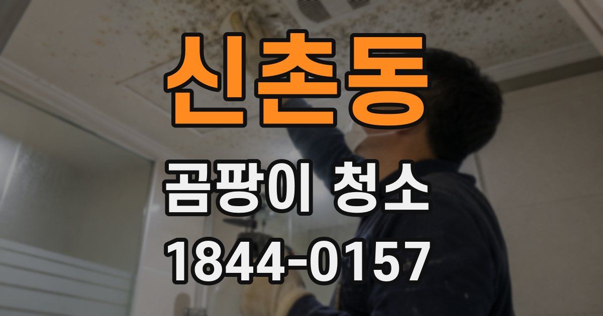 신촌동 곰팡이 청소