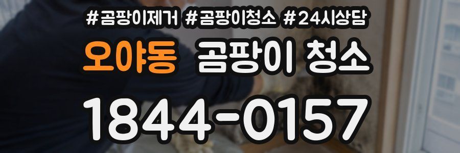 오야동 곰팡이 청소