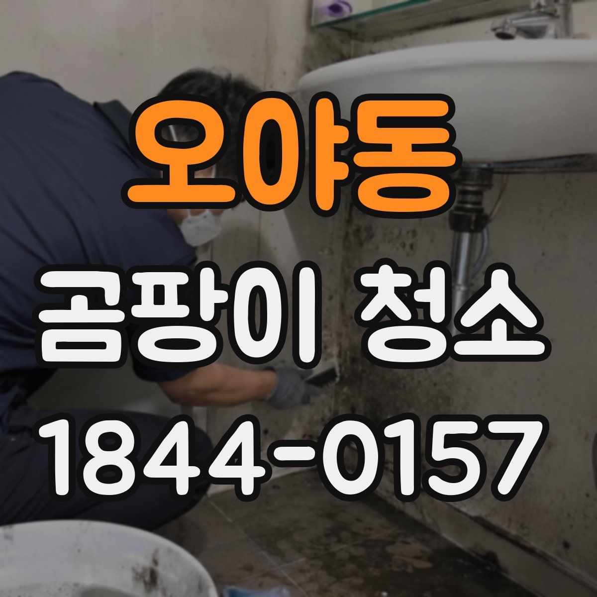 오야동 곰팡이 청소