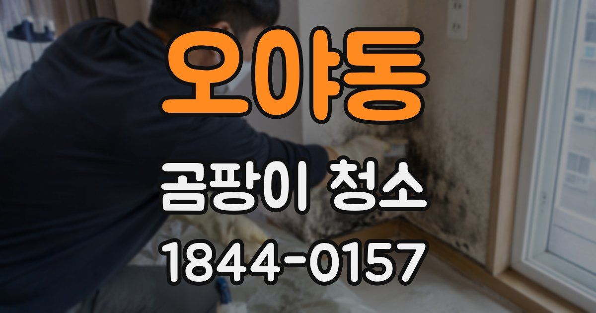 오야동 곰팡이 청소