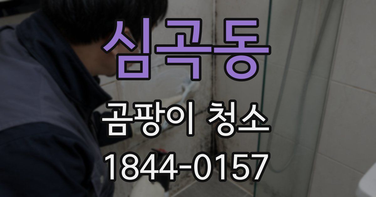 심곡동 곰팡이 청소